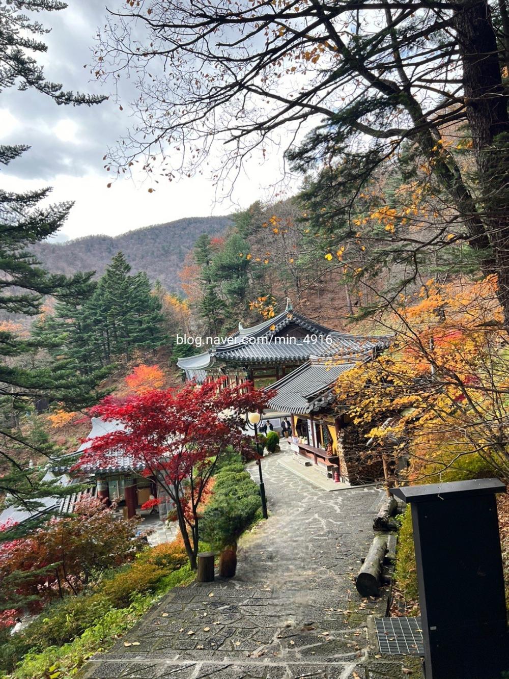 소식 사진
