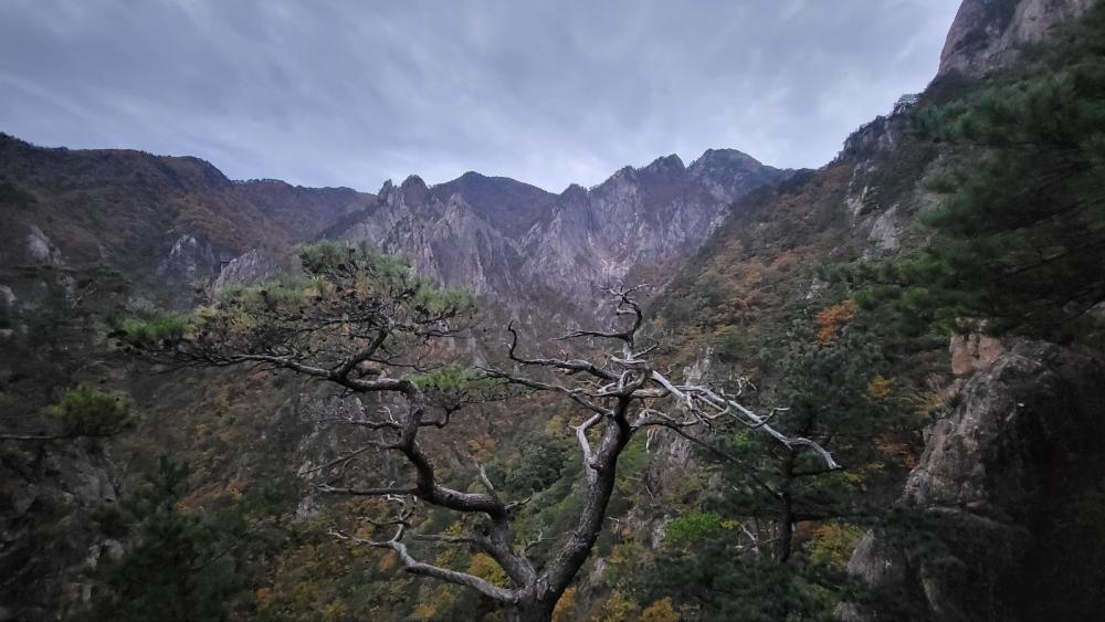 기도터 사진