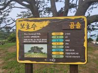 기도터 사진