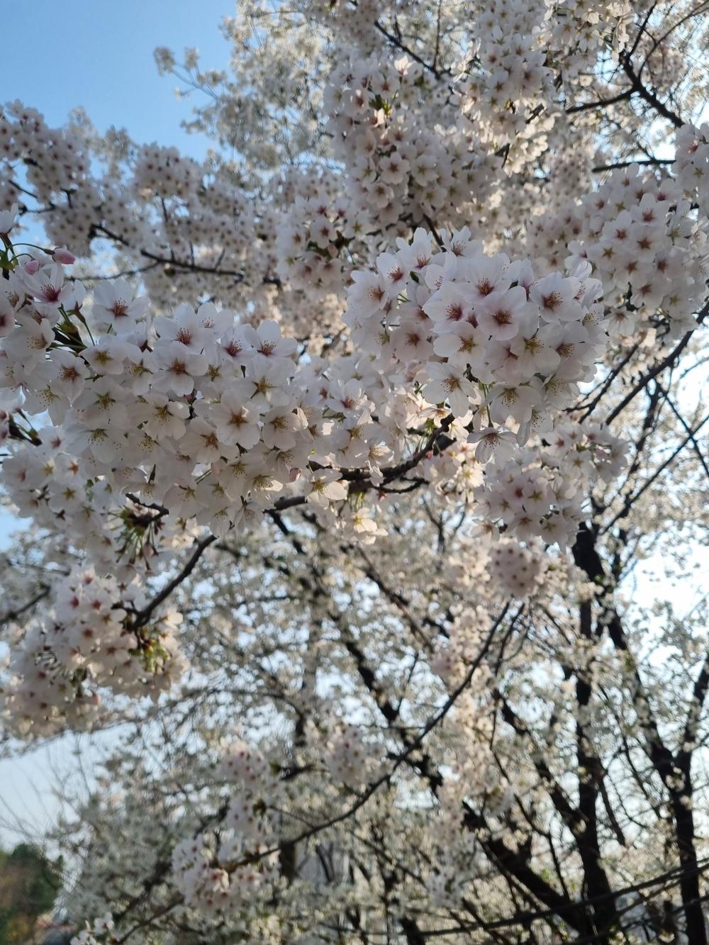 기도터 사진