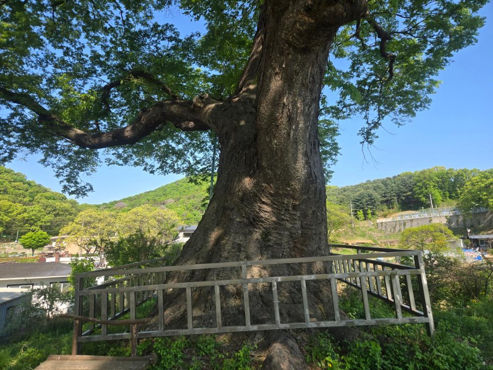 기도터 사진