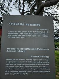 기도터 사진