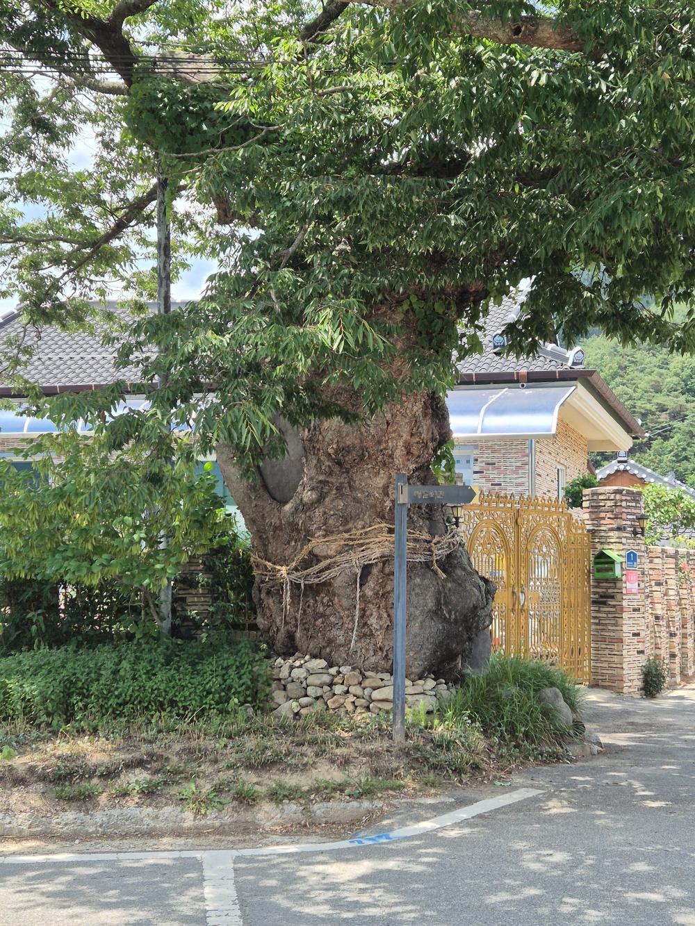 기도터 후기 사진