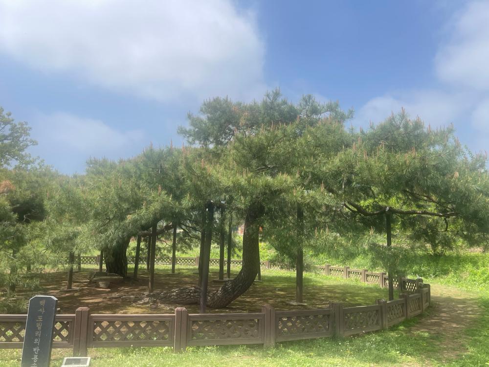 기도터 사진