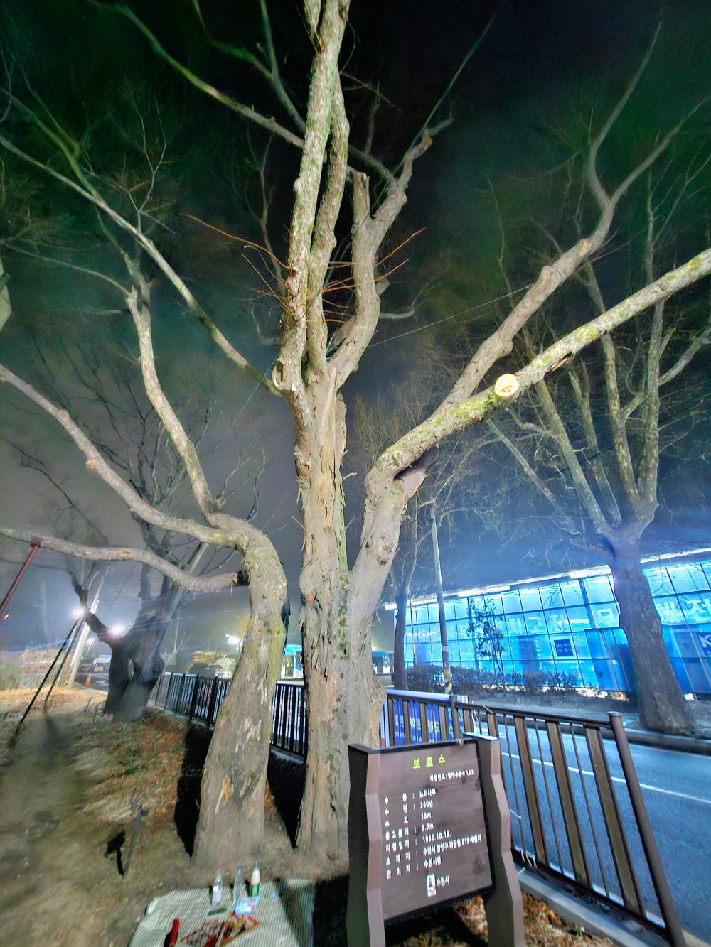 기도터 사진