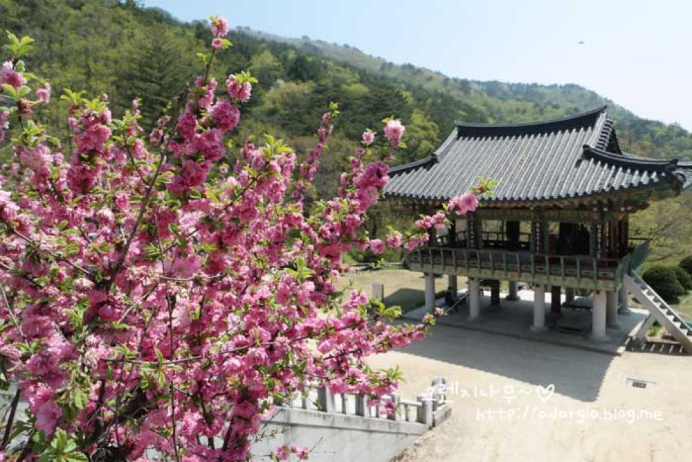 기도터 사진