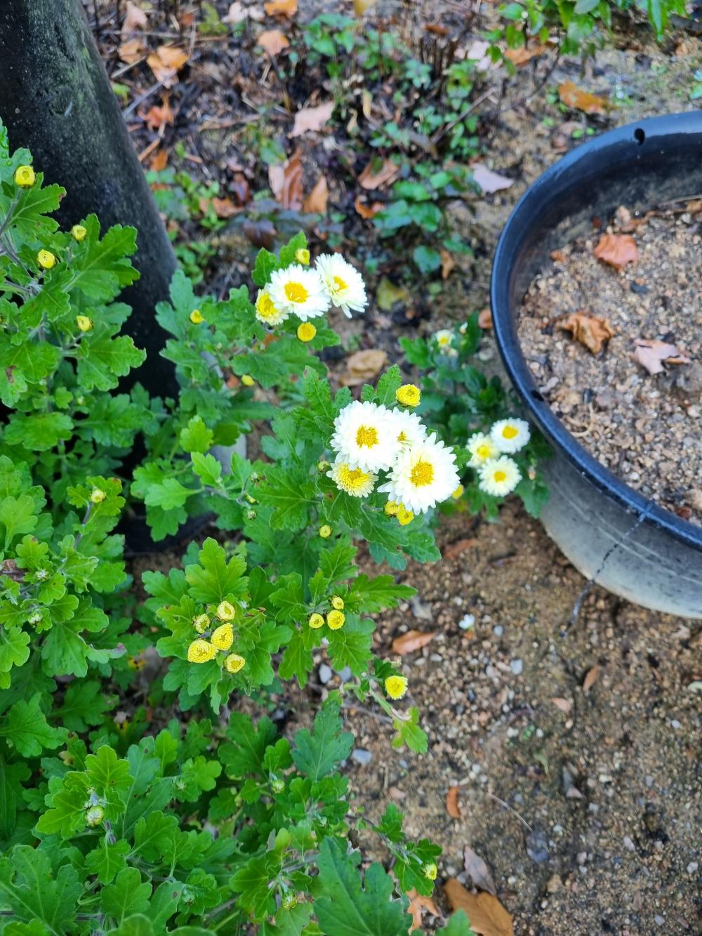 기도터 후기 사진