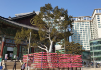 기도터 사진