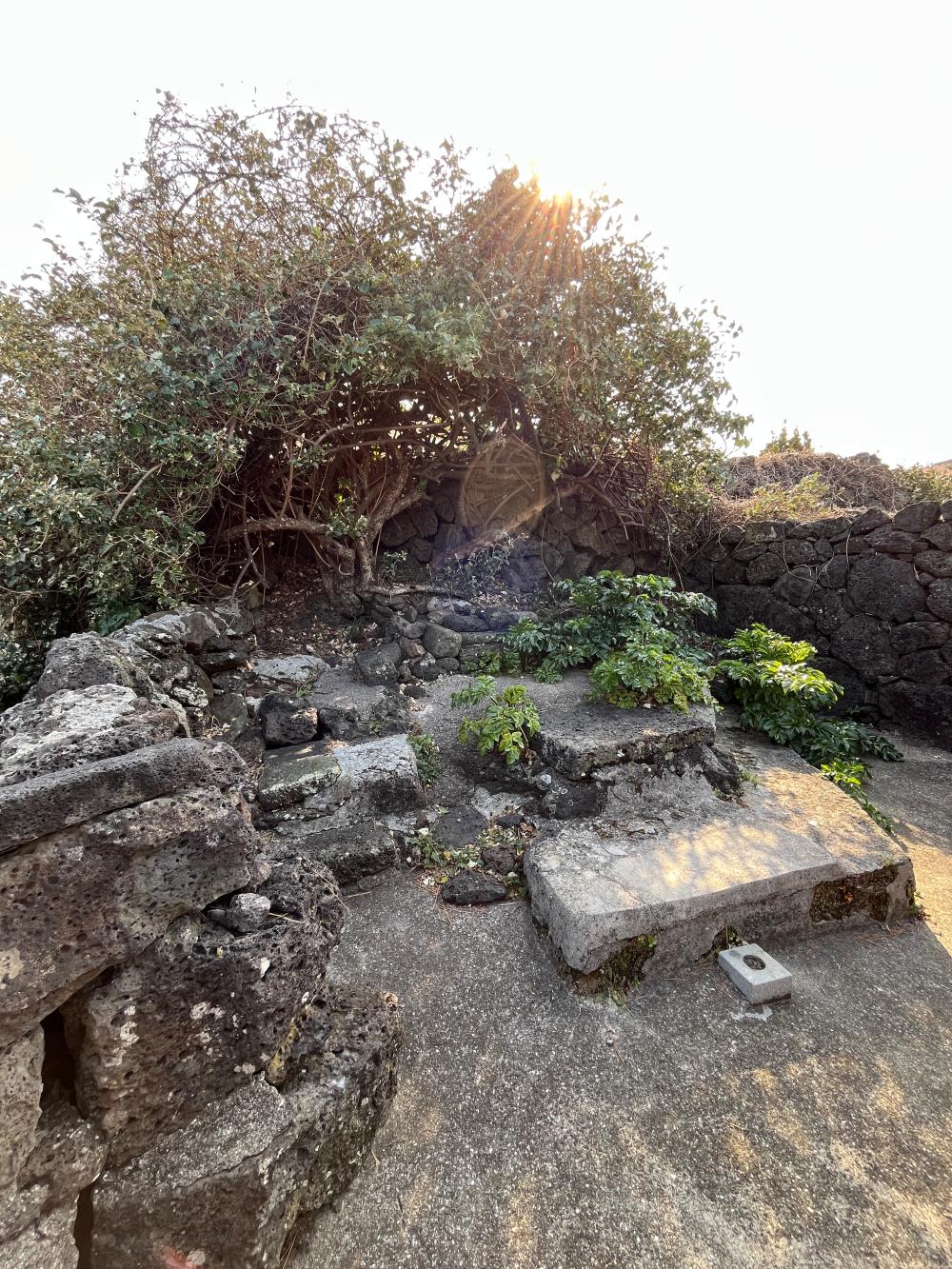 기도터 후기 사진