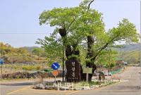 기도터 사진