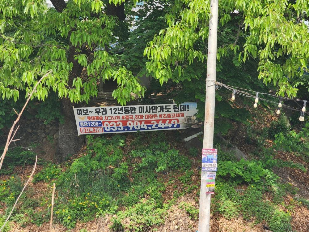 기도터 사진
