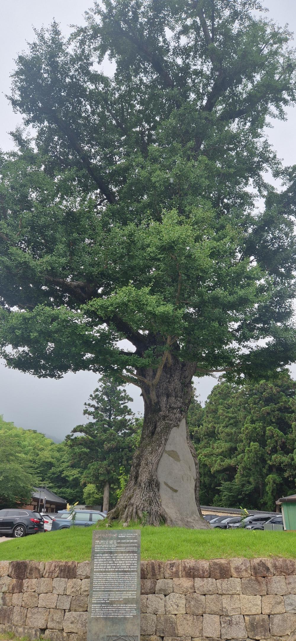 기도터 사진
