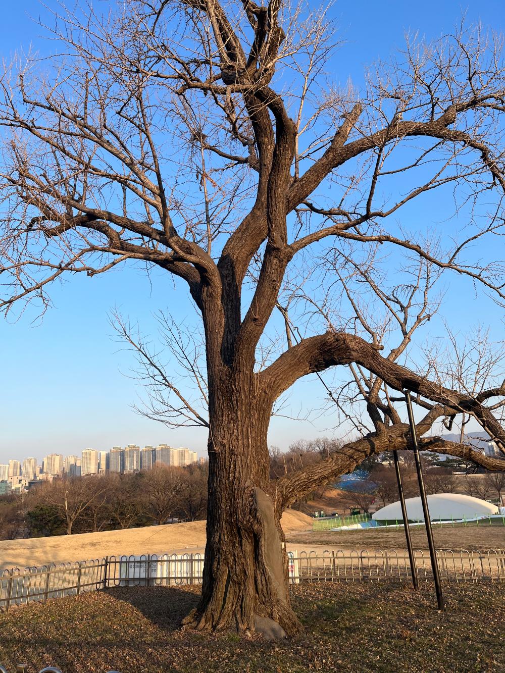 기도터 사진