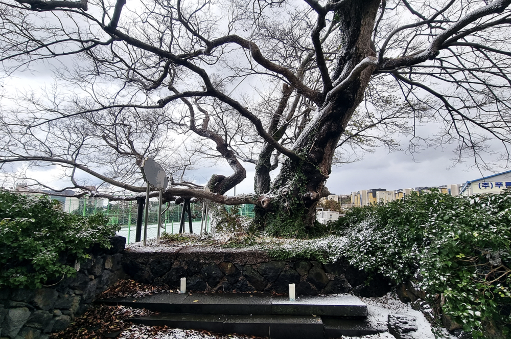 기도터 사진