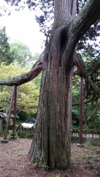 기도터 사진