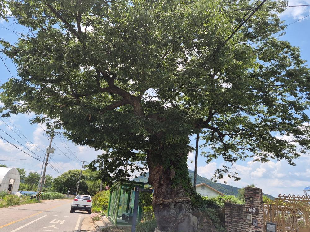 기도터 후기 사진