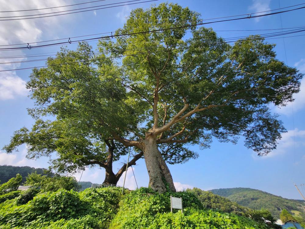 기도터 사진
