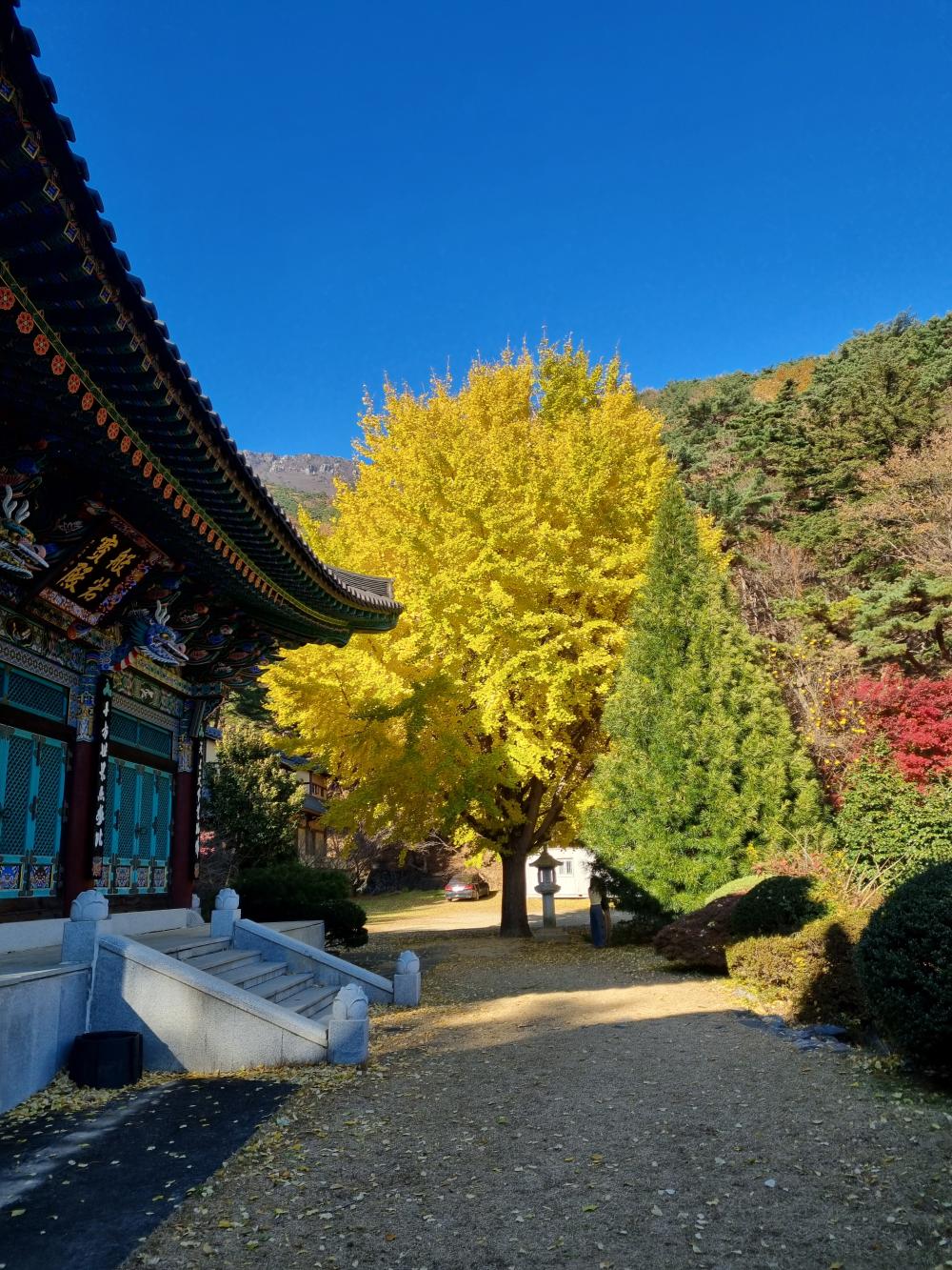 기도터 후기 사진