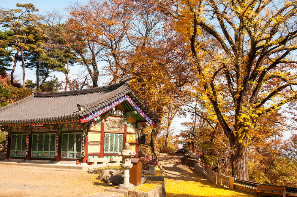 기도터 사진