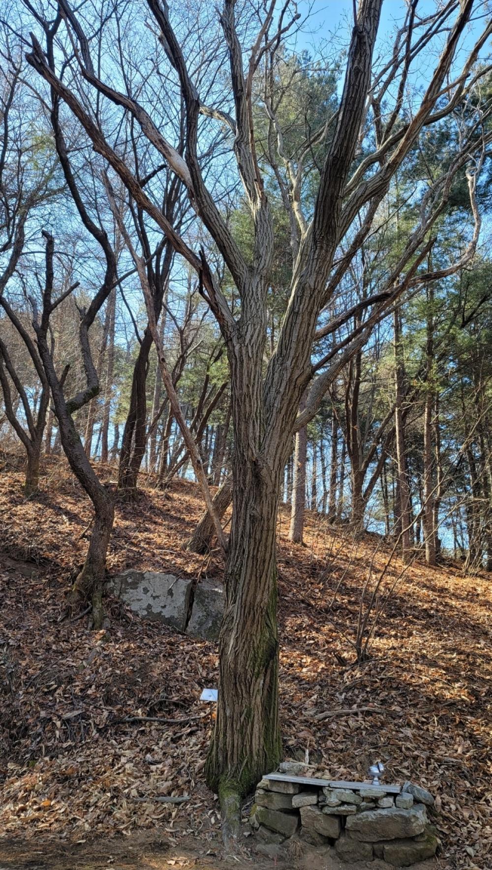 기도터 사진