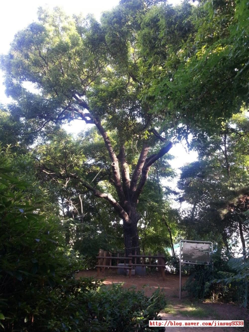 기도터 사진