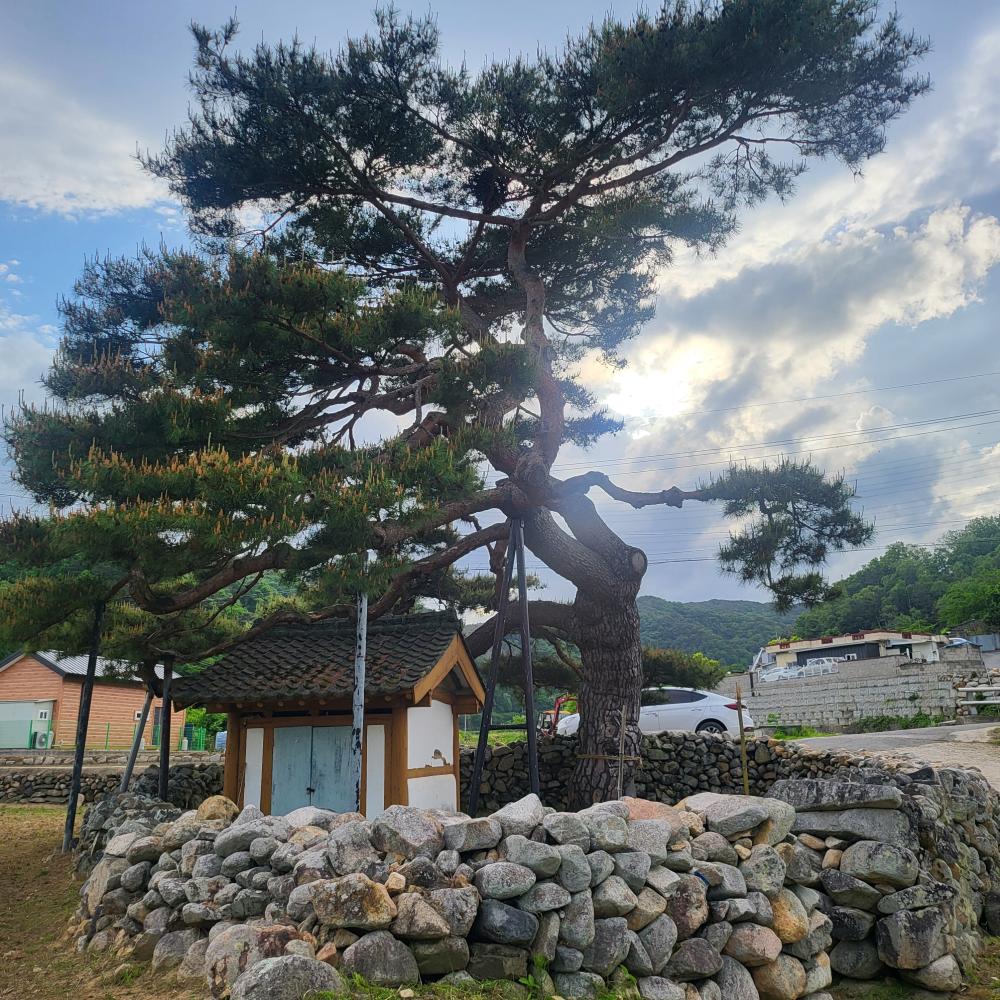 기도터 사진