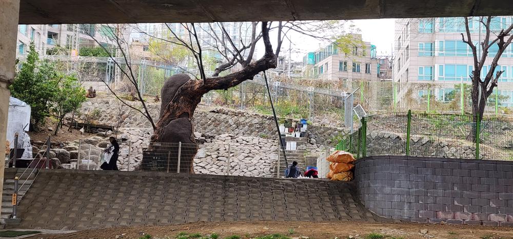 기도터 사진