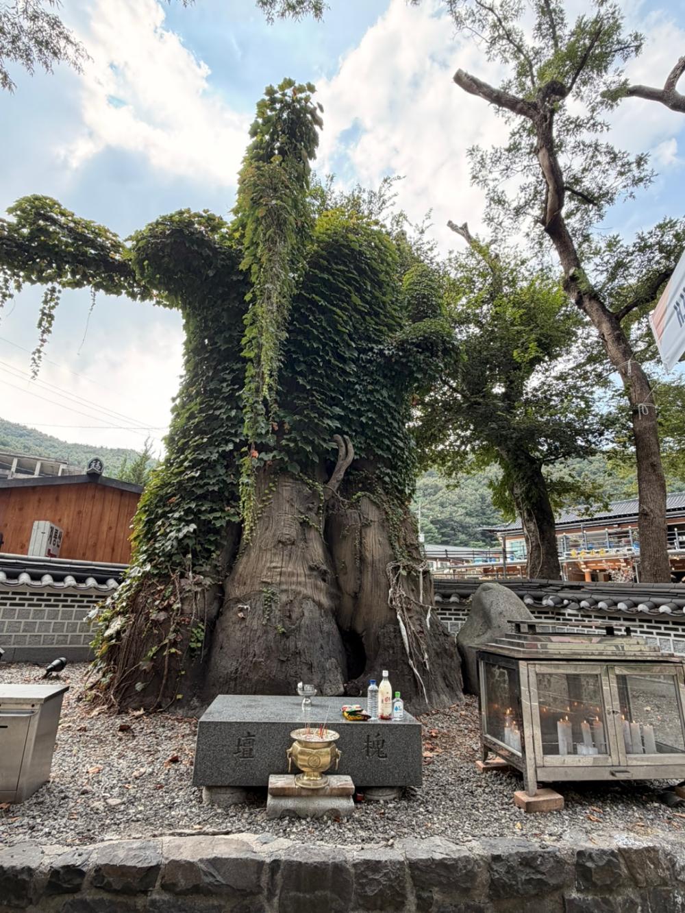 기도터 사진