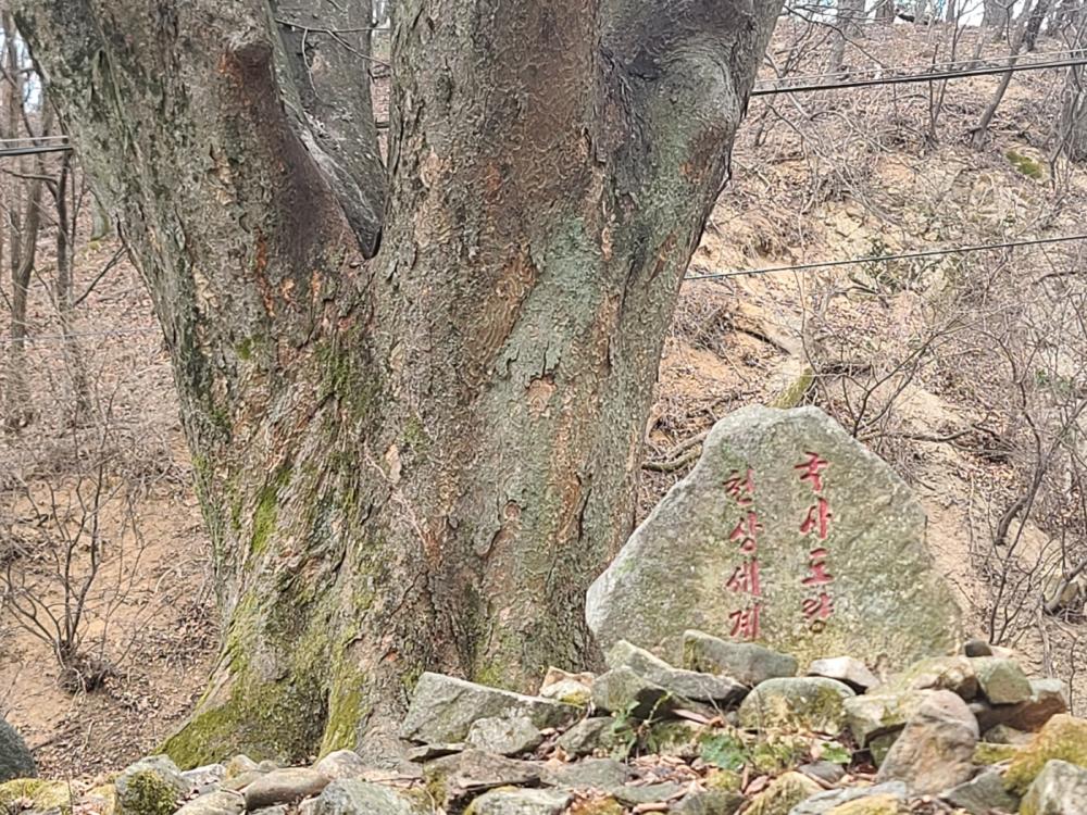 기도터 사진