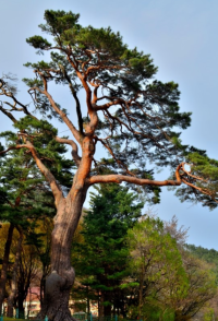 기도터 사진