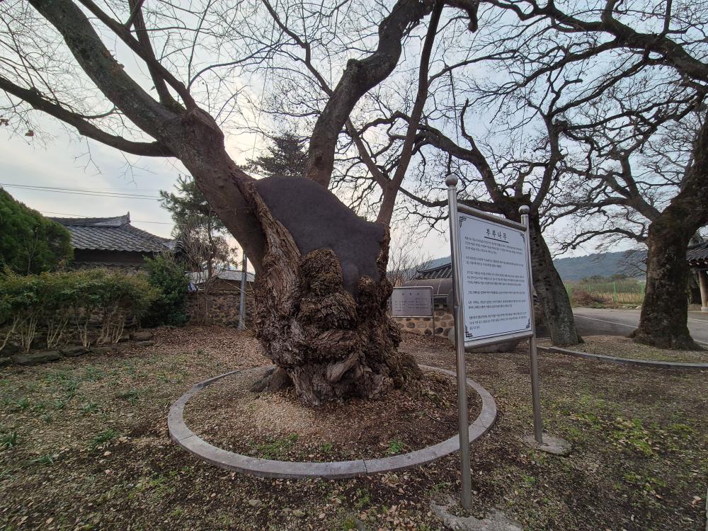 기도터 후기 사진