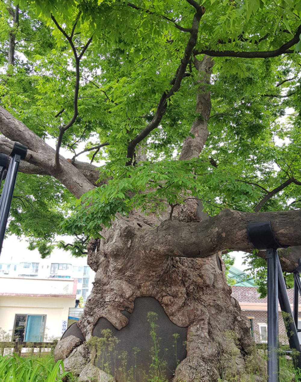 기도터 사진