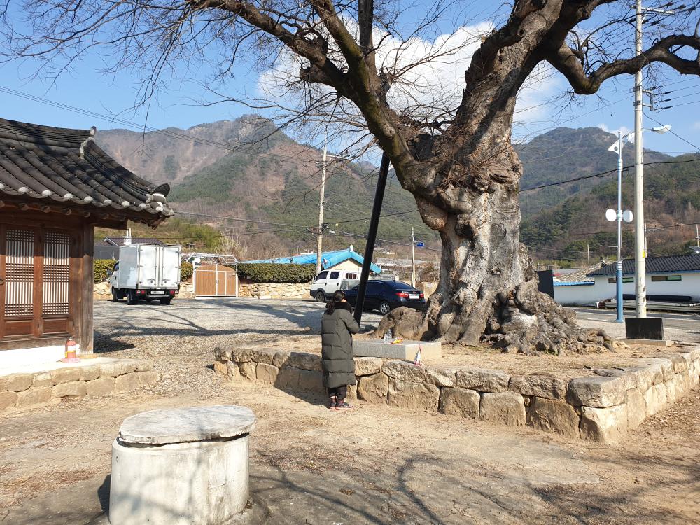 기도터 사진