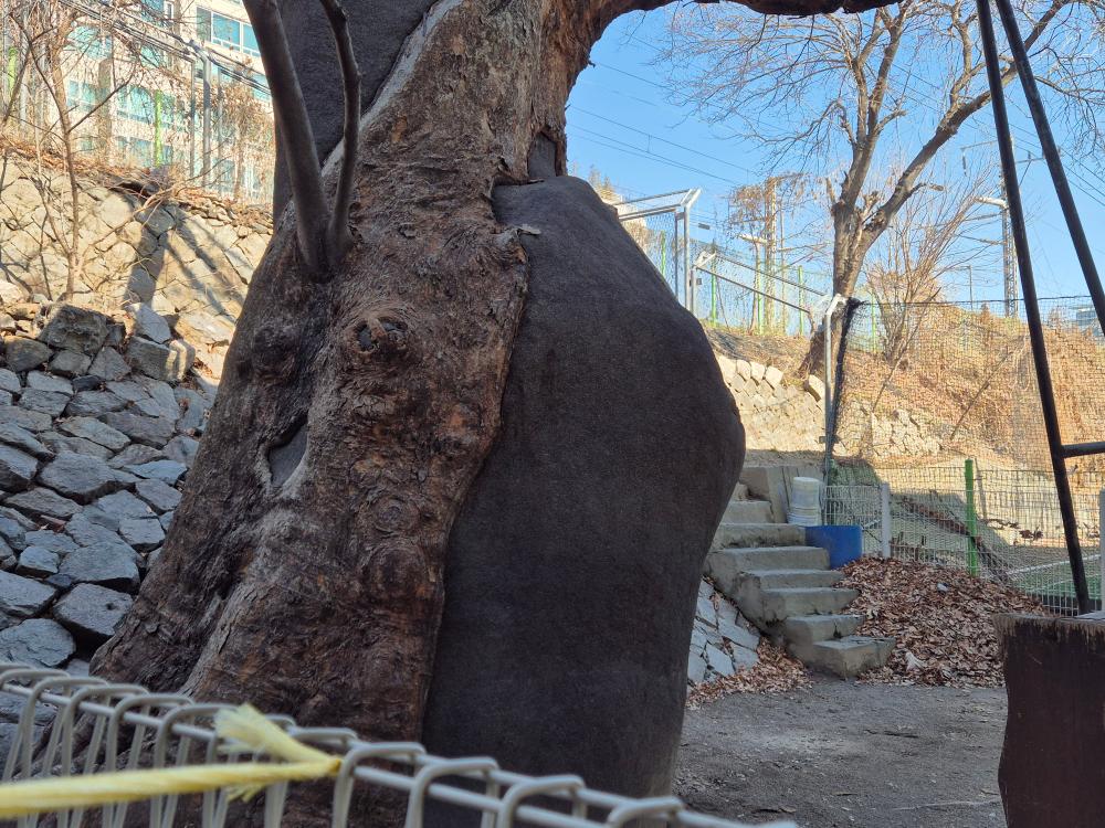 κΈ°λν° νκΈ° μ¬μ§