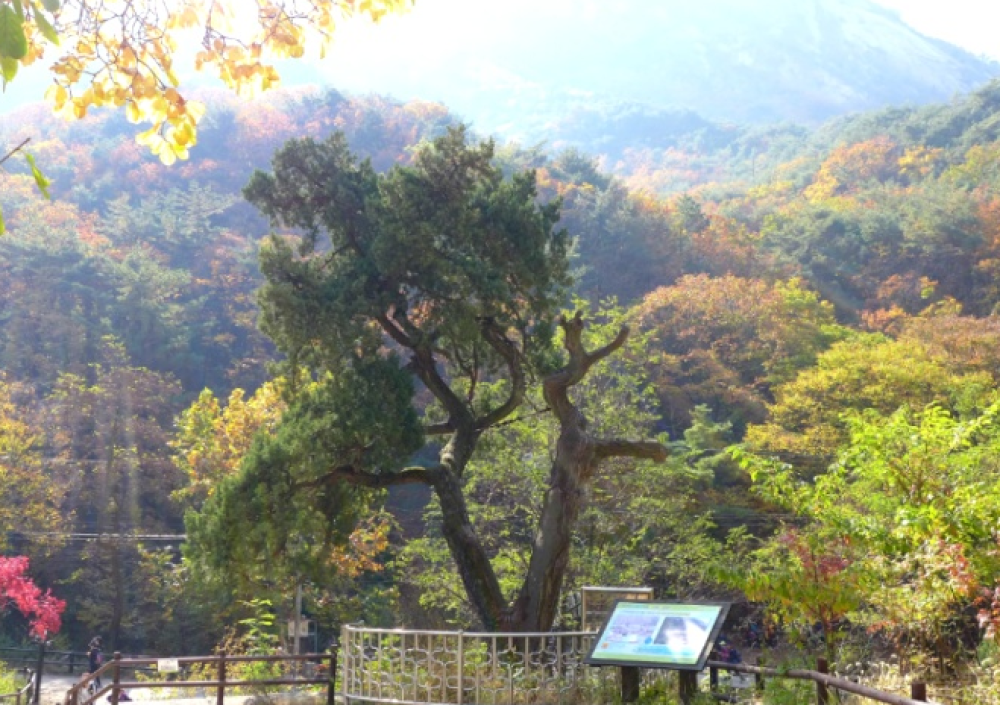 기도터 사진