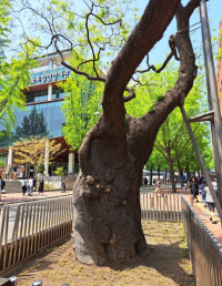 기도터 사진