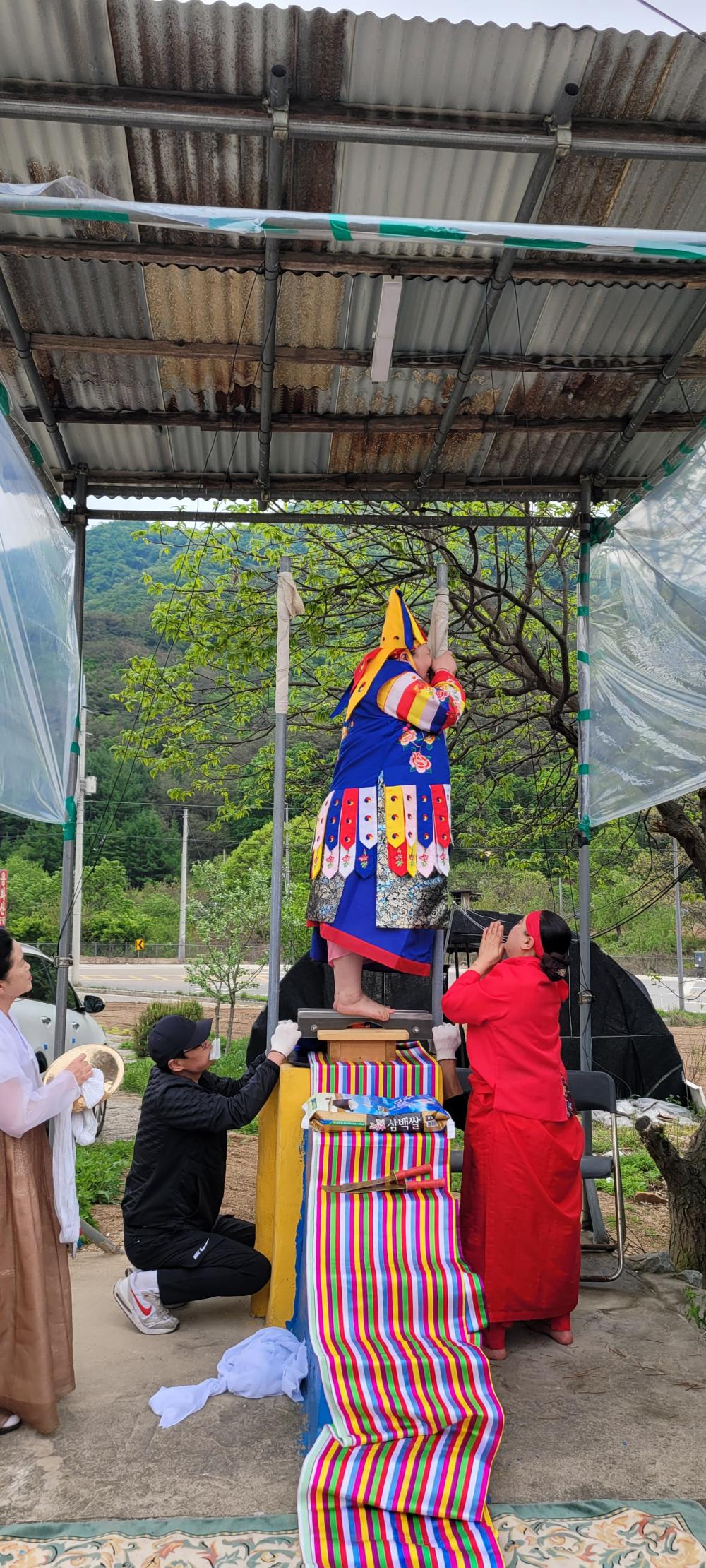 사진