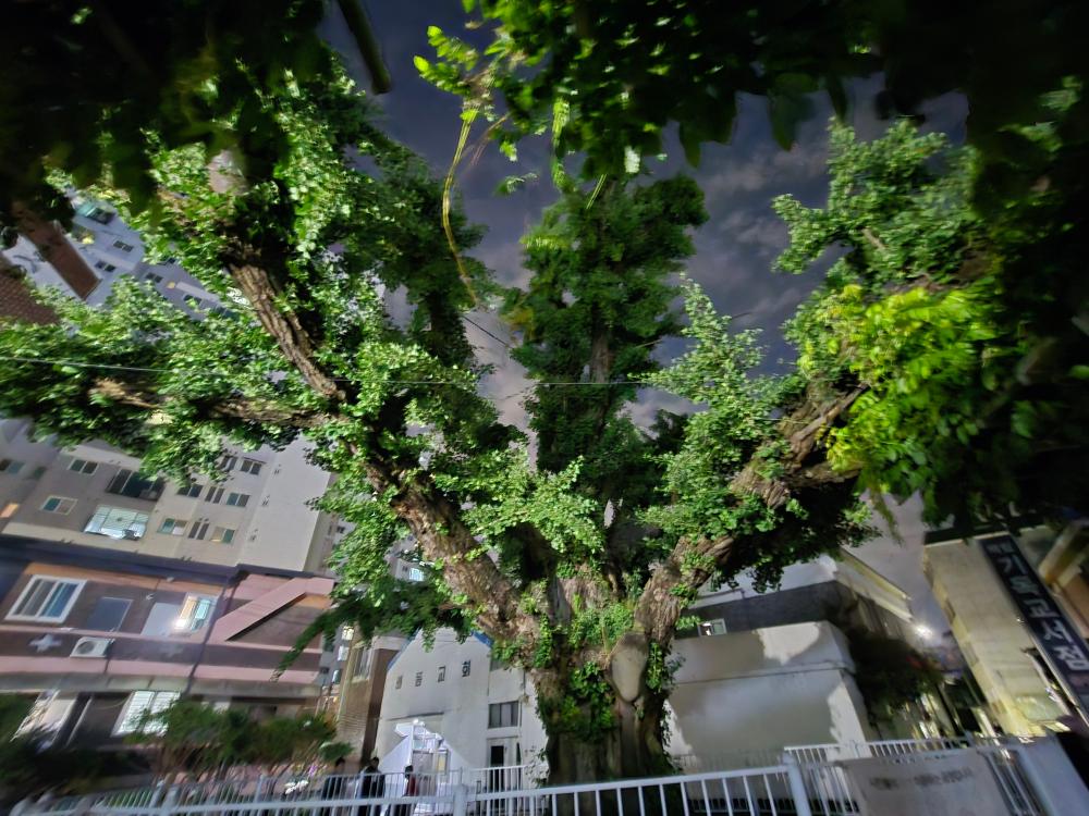 기도터 후기 사진