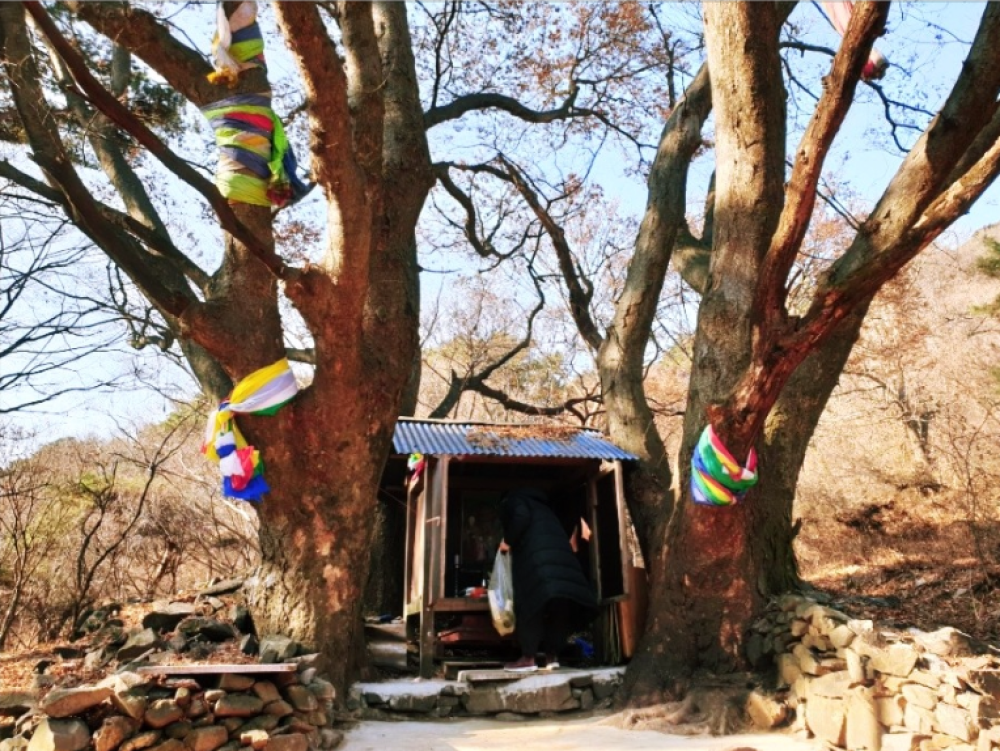 충주 재오개 서낭 사진