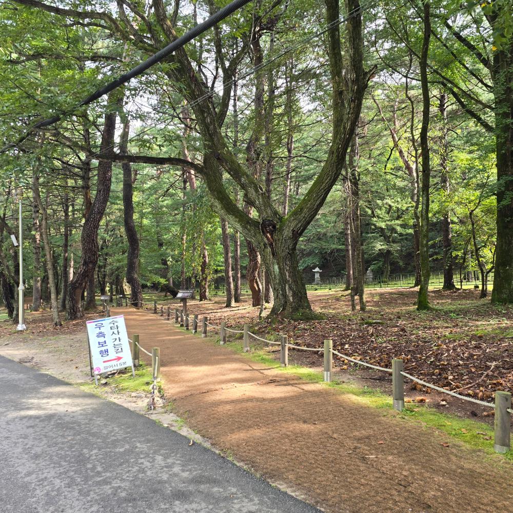 기도터 후기 사진