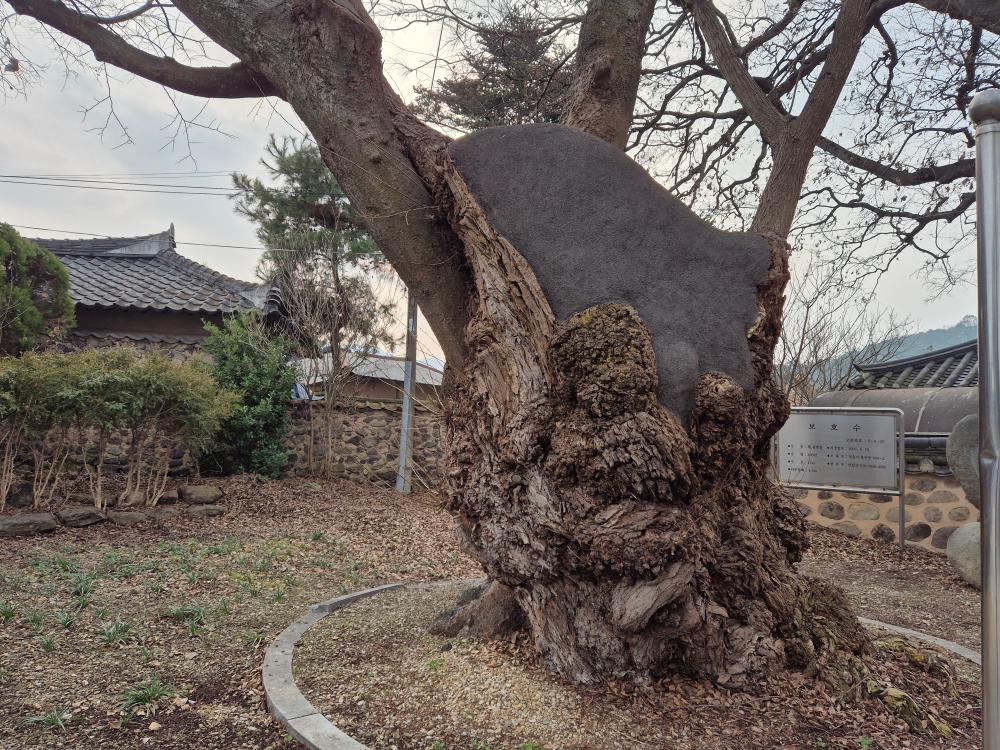 기도터 후기 사진