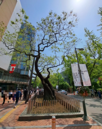 기도터 사진