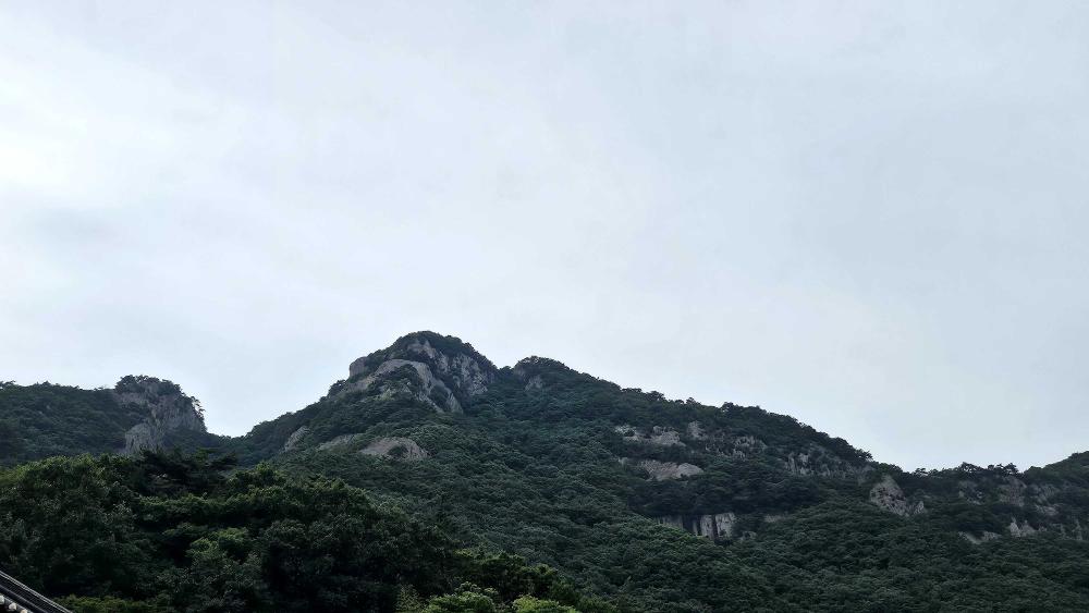 기도터 사진
