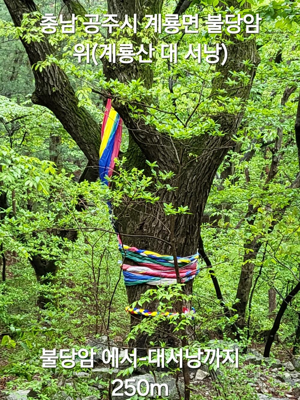 기도터 사진