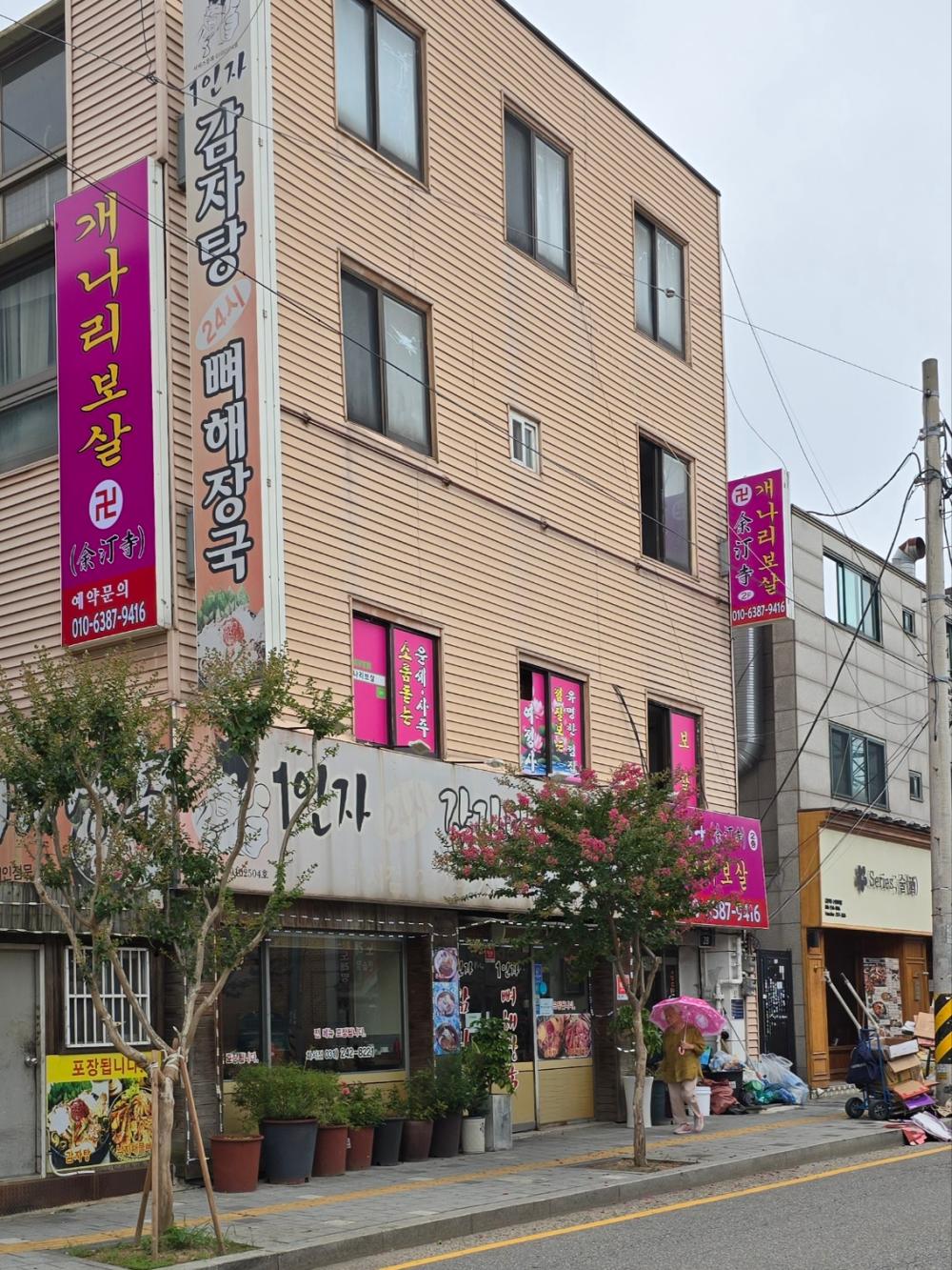 사진