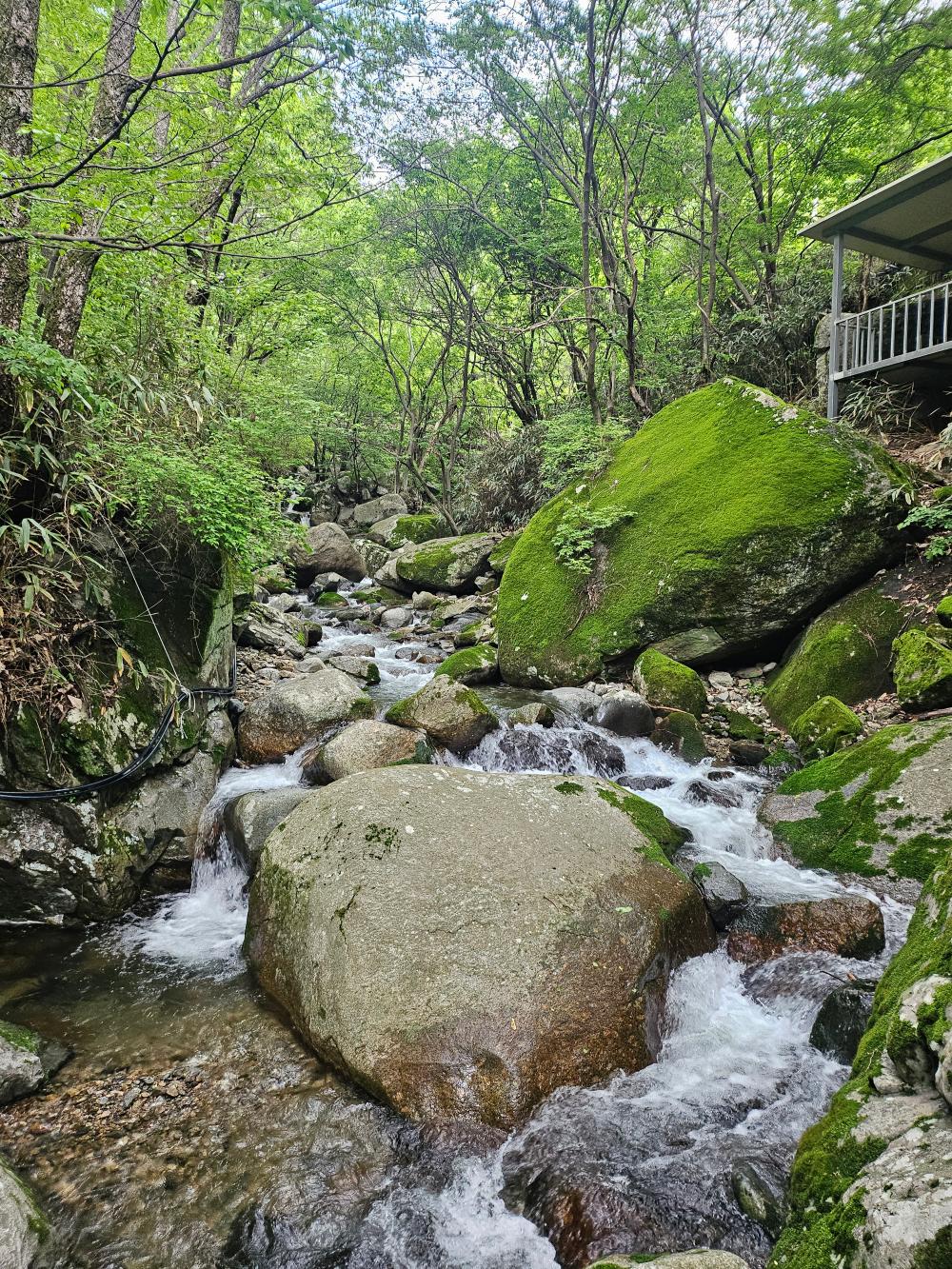 기도터 사진