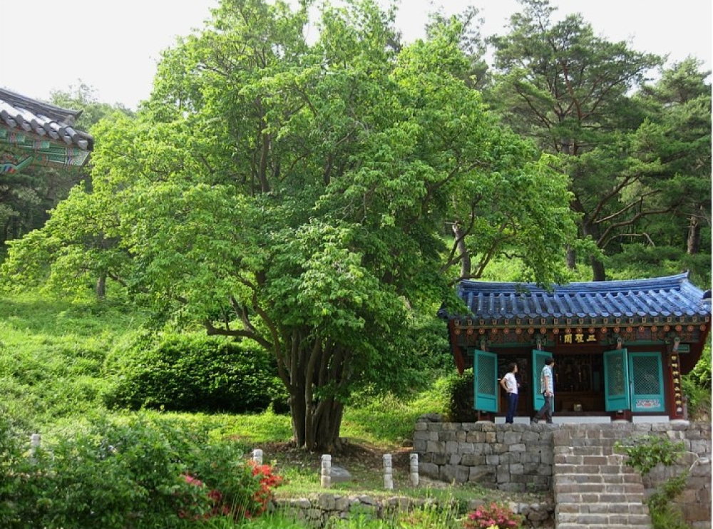 기도터 사진