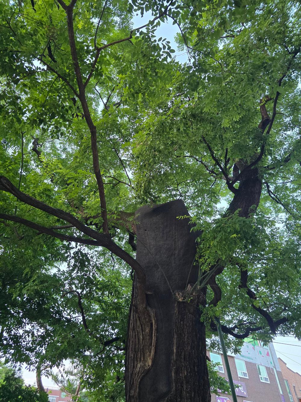 기도터 후기 사진