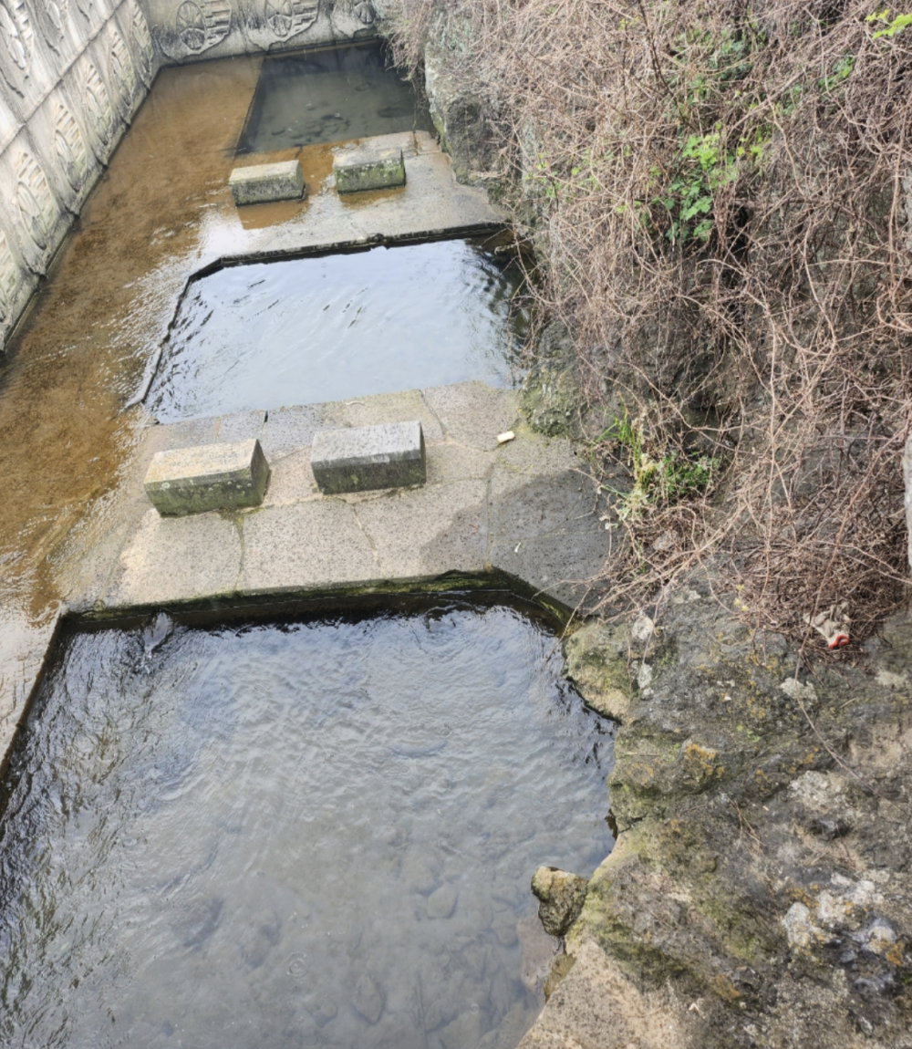 이호1동 원장물 사진