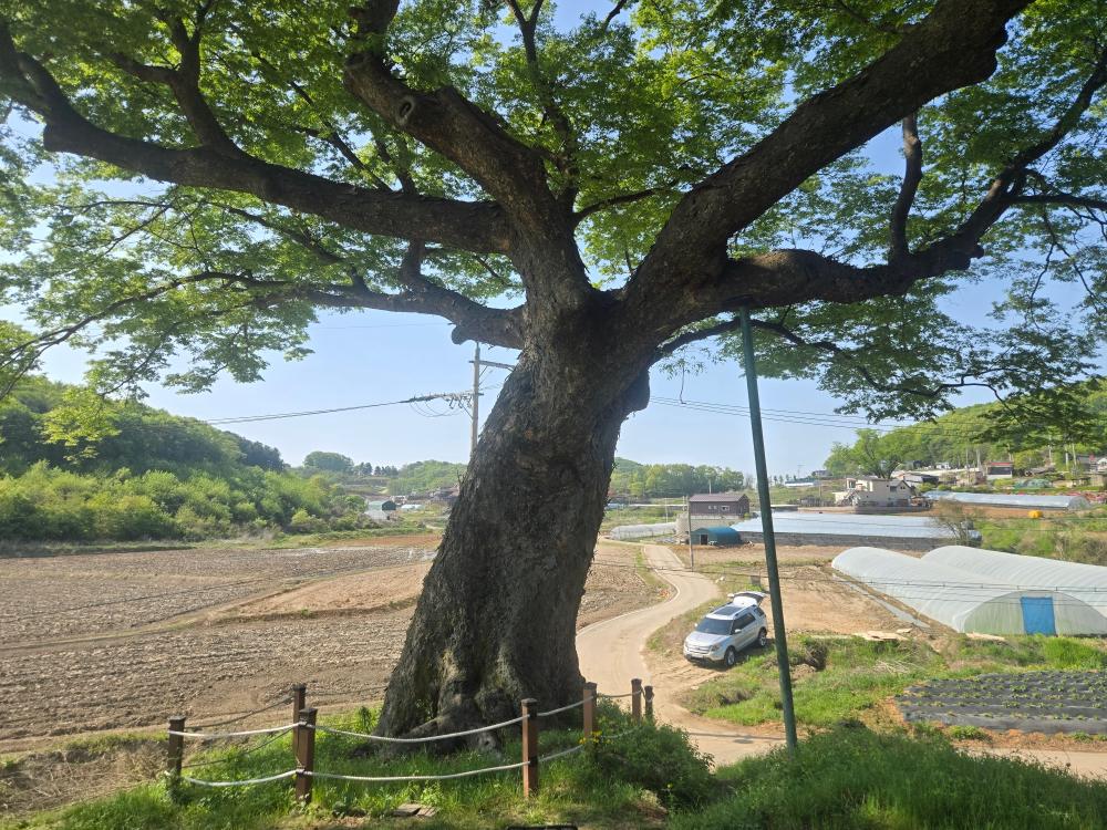 기도터 후기 사진